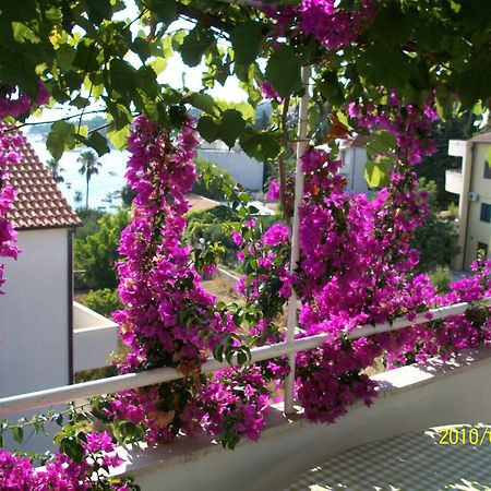 Apartmani Surlin ฮวาร์ ภายนอก รูปภาพ