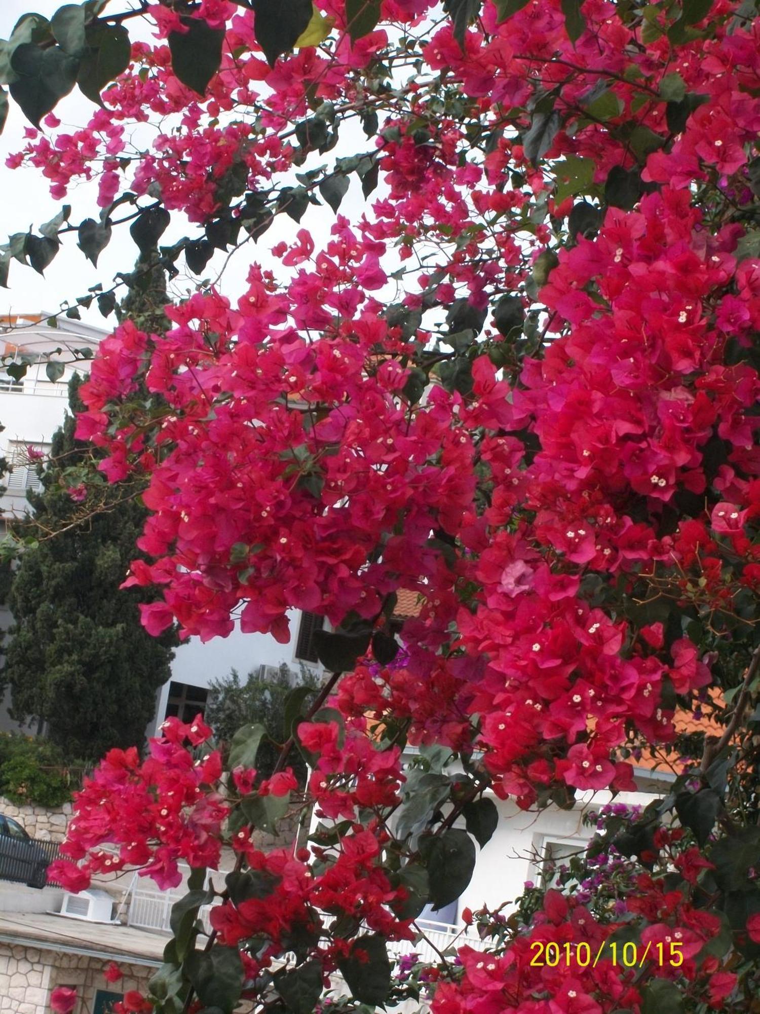 Apartmani Surlin ฮวาร์ ภายนอก รูปภาพ