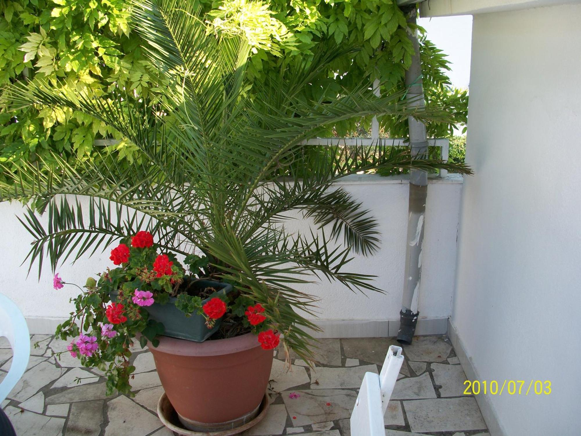 Apartmani Surlin ฮวาร์ ภายนอก รูปภาพ
