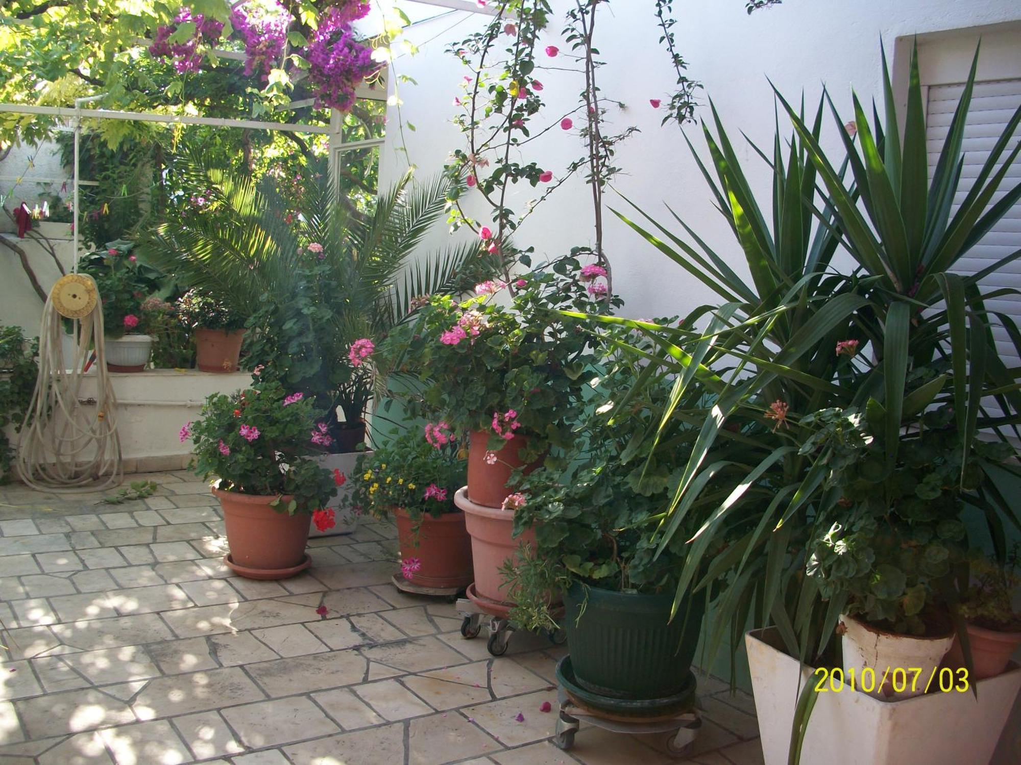 Apartmani Surlin ฮวาร์ ภายนอก รูปภาพ